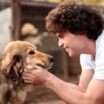Are Animals shelters open for adoption in Canada