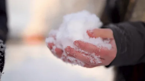 Will I have a snow day tomorrow? Snow Day Calculator