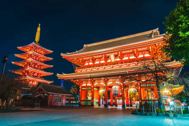Top Things to Do in Tokyo