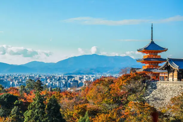 things to do in kyoto