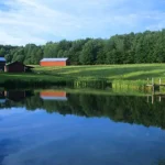 How Much Does It Cost to Build a 1-Acre Pond? Full Price Breakdown (2025 Guide)