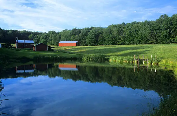 How Much Does It Cost to Build a 1-Acre Pond? Full Price Breakdown (2025 Guide)